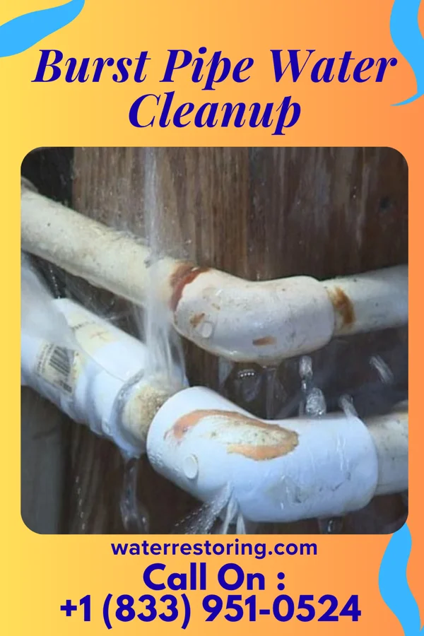 Burst Pipe Water Cleanup in Sandusky, IA