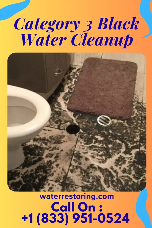 Category 3 Black Water Cleanup in Sandusky, IA