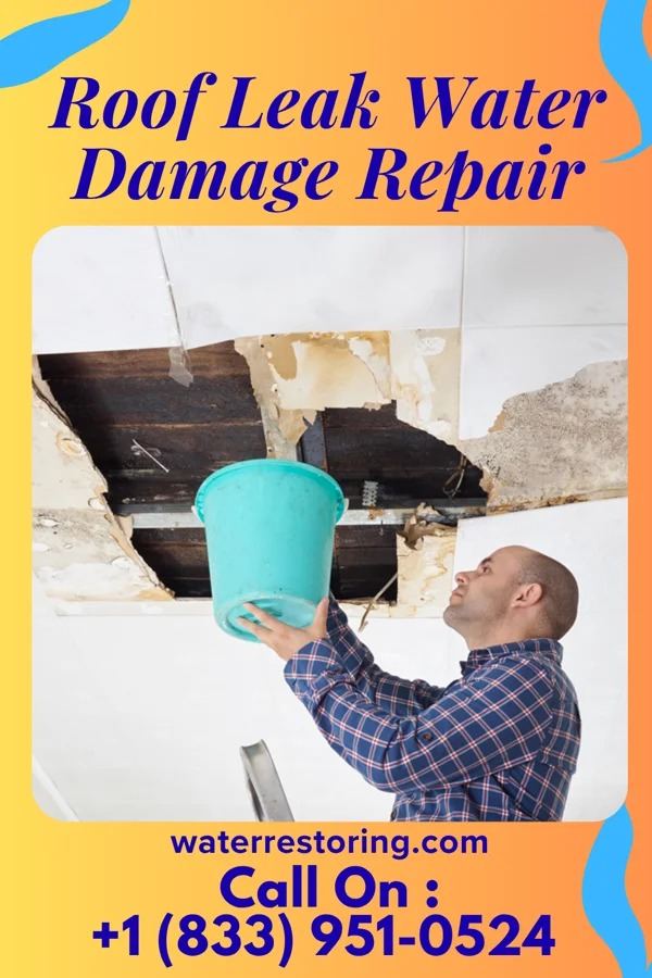 Roof Leak Water Damage Repair in Sandusky, IA