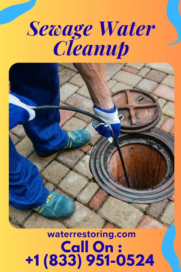 Sewage Water Cleanup in Sandusky, IA